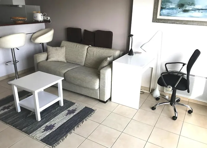 Apartamento - T2 Confortable, 2-4 Couchages, Animaux Admis, Parking - Fr-1-843-13