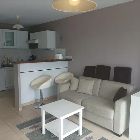 - T2 Confortable, 2-4 Couchages, Animaux Admis, Parking - Fr-1-843-13 Apartament