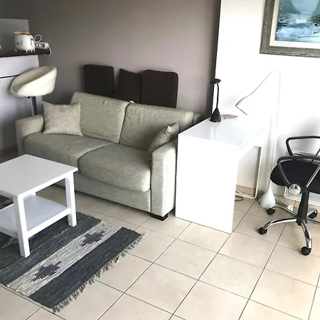 Apartament - T2 Confortable, 2-4 Couchages, Animaux Admis, Parking - Fr-1-843-13